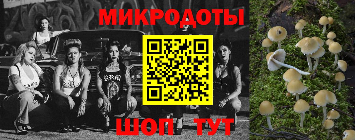Галлюциногенные грибы прущие грибы Ханты-Мансийск